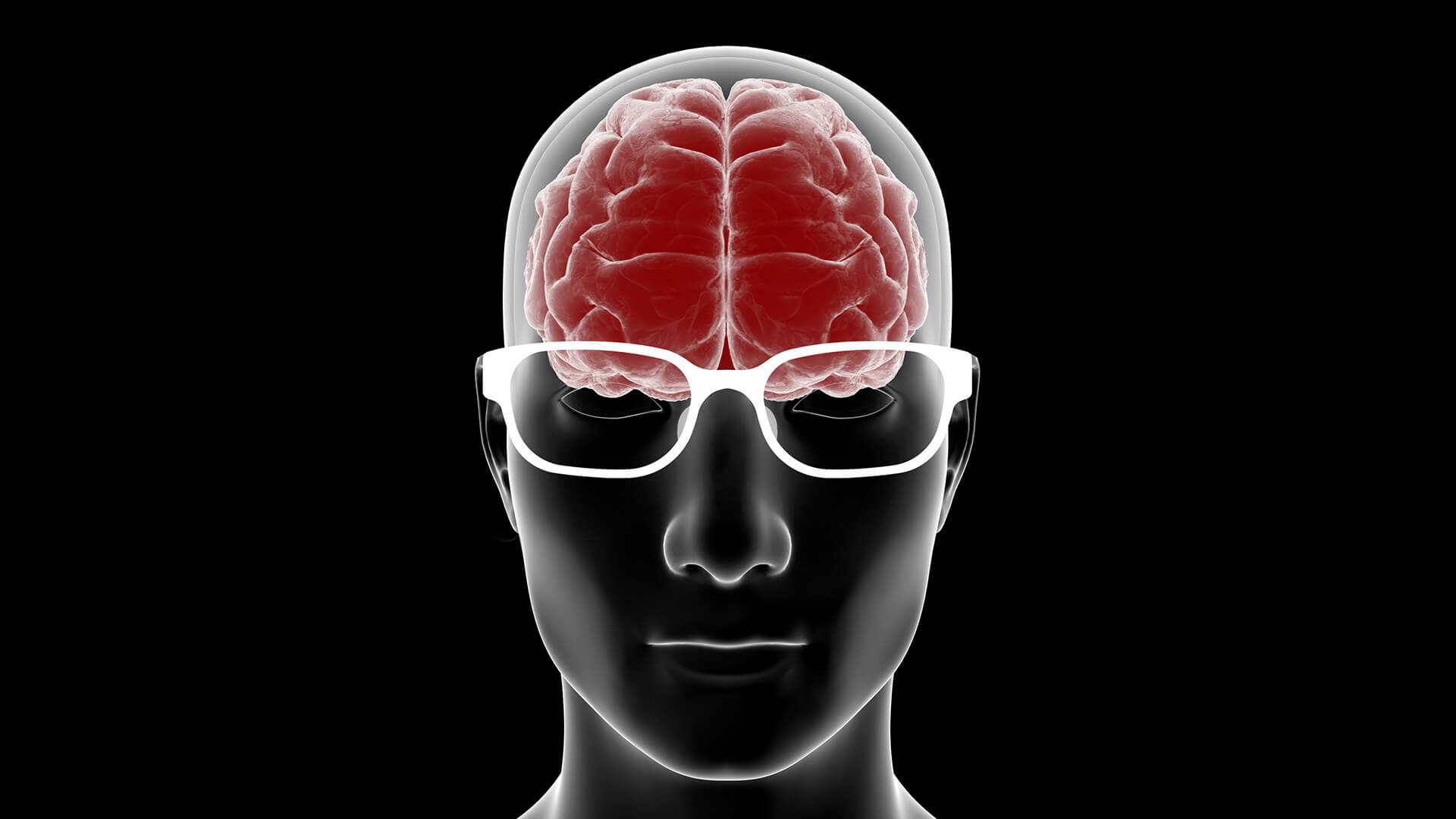 「ヒトは脳で視ている」のです、ドイツマイスター眼鏡院